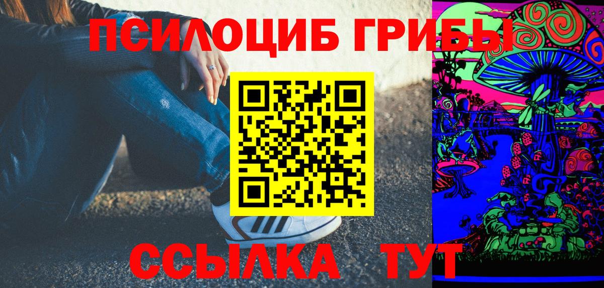 Псилоцибиновые грибы Psilocybine cubensis  Вход с VPN  Верхняя Пышма 