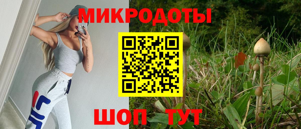 Псилоцибиновые грибы мухоморы Верхняя Пышма