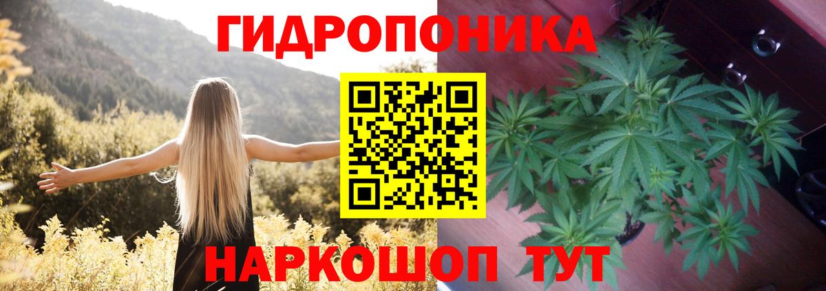 Канабис тримм  Вход с VPN  Бошки Шишки VHQ  Конопля Bruce Banner  Верхняя Пышма 